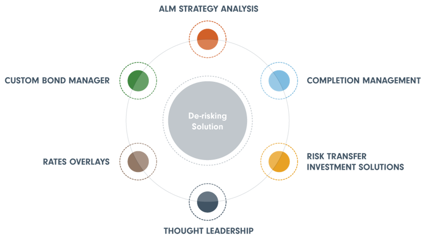 LDI investment process information graphic