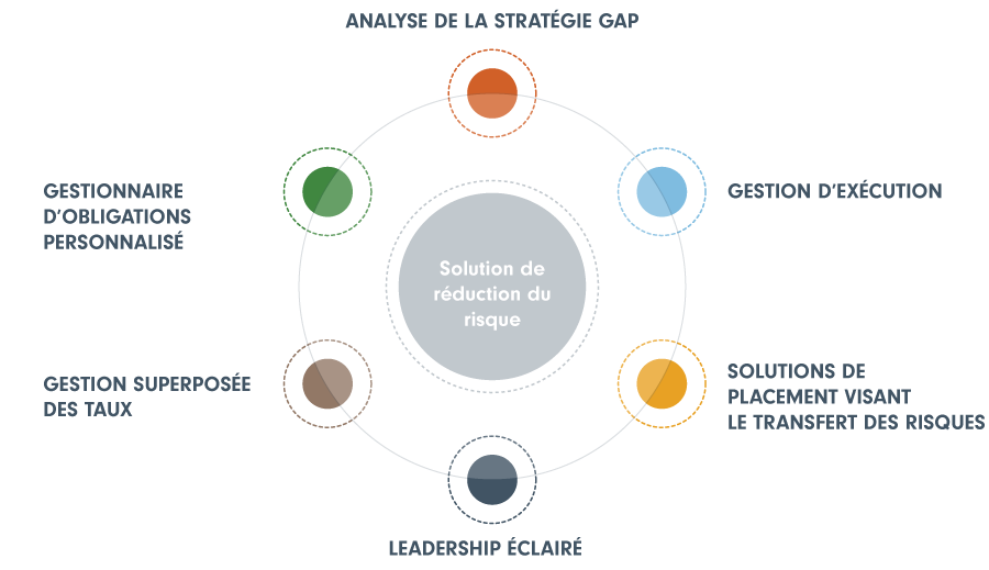 LDI investment process information graphic