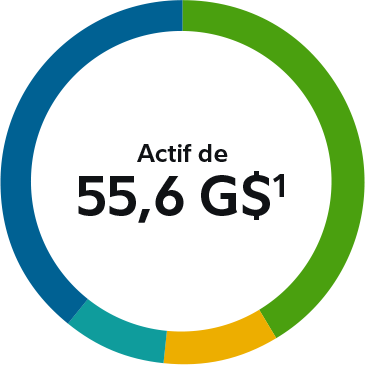 55,6 milliards de dollars d’actifs institutionnels canadiens